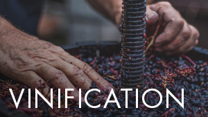 Menu-Blocks-wide_0003_VINIFICATION